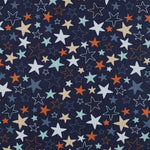 BLUE FLANNEL STARS 03080.020