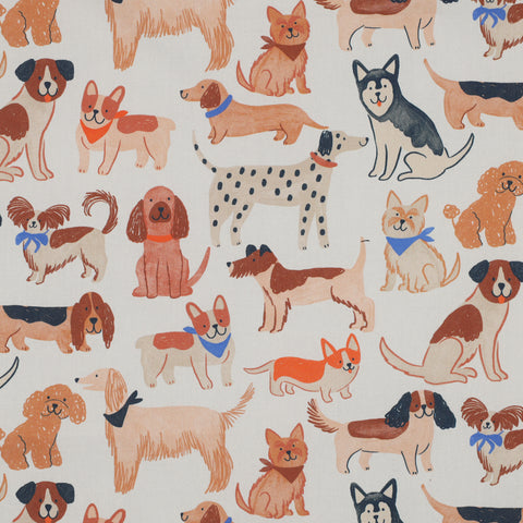 OFF-WHITE FINE POPLIN DIGITAL DOGS 05183.002
