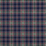 NAVY / GREEN FLANNEL CHECKS 05814.011