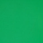 GREEN FRENCH TERRY V803.031