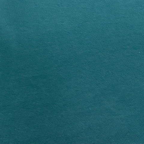 02020.016 PETROL RIB JERSEY