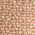 Zartrosa Gänseblümchenblumen V402.033 